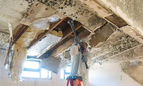 Mold Odor Removal Services in East Rockaway, NY